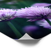 開花紫色の鱗片枠自分の写真を追加 ポスター (角)