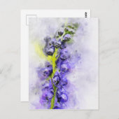 開花絵画僧のフードの水色 ポストカード (正面/裏面)