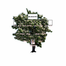 開花緑葉の家系図4世代