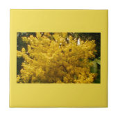 開花花粉 タイル (正面)