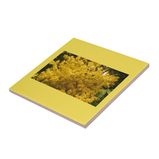 開花花粉 タイル (側面)