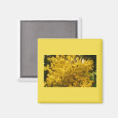 開花花粉 マグネット (正面/裏面)