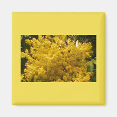 開花花粉 マグネット (正面)