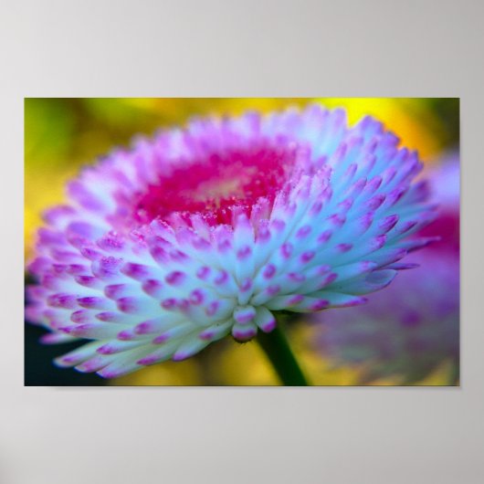 開花花 ポスター (正面)