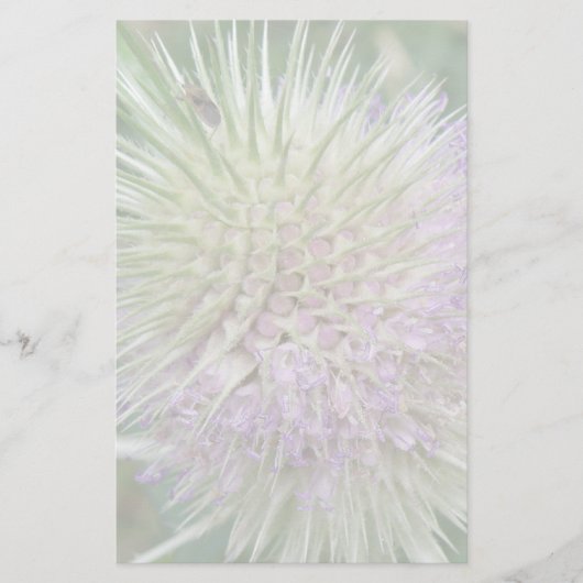 開花野草文房具 便箋 (正面)