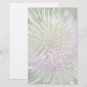 開花野草文房具 便箋 (正面/裏面)