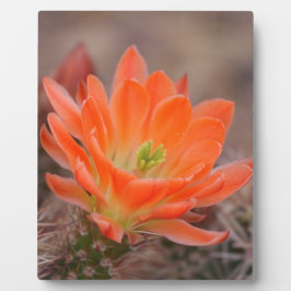 開花（オレンジ） フォトプラーク