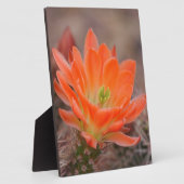 開花（オレンジ） フォトプラーク (側面)