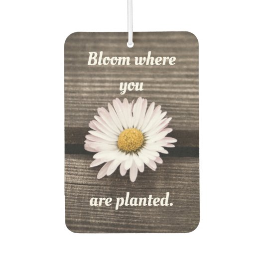 開花 カーエアーフレッシュナー (正面)