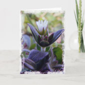 開花 カード (正面)