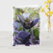 開花 カード (黄色い花)