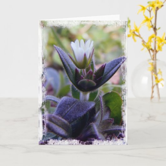 開花 カード (黄色い花)