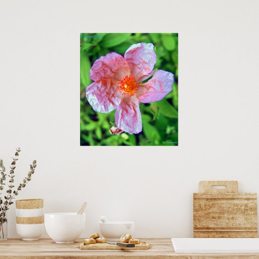 開花 ポスター (キッチン)