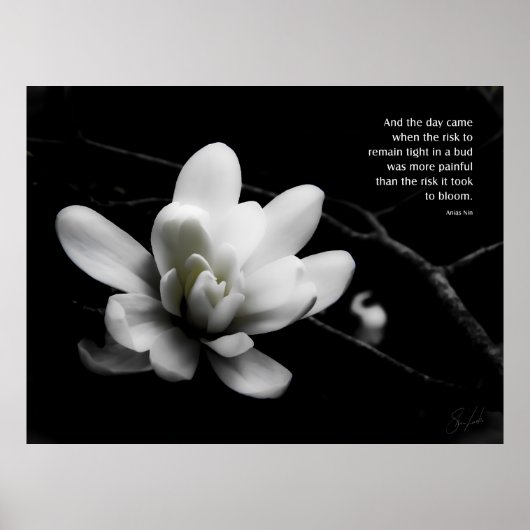 開花 ポスター (正面)