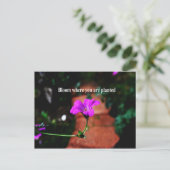 開花 ポストカード (スタンド正面)