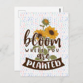 開花 ポストカード (正面/裏面)