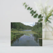 開花 ポストカード (スタンド正面)