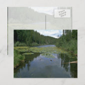 開花 ポストカード (正面/裏面)