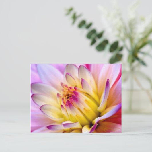 開花 ポストカード (スタンド正面)