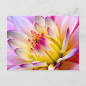 開花 ポストカード (正面)