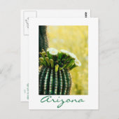 開花 ポストカード (正面/裏面)