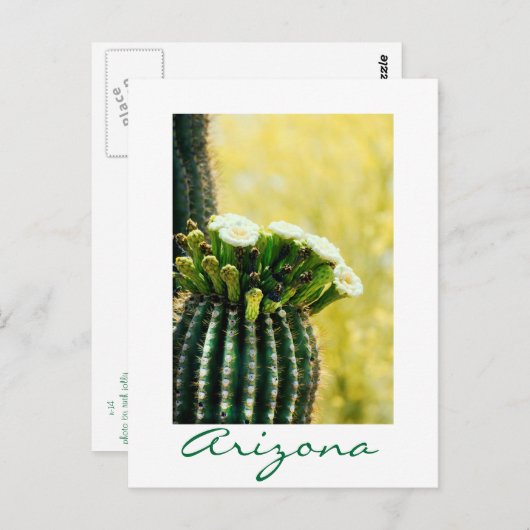 開花 ポストカード (正面/裏面)