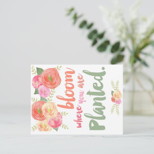 開花 ポストカード (スタンド正面)