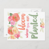 開花 ポストカード (正面/裏面)