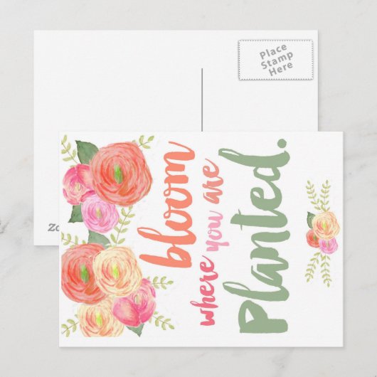 開花 ポストカード (正面/裏面)