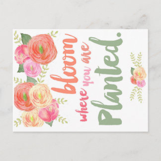 開花 ポストカード