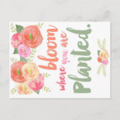 開花 ポストカード (正面)