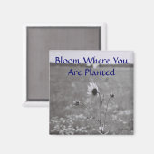 開花 マグネット (正面/裏面)