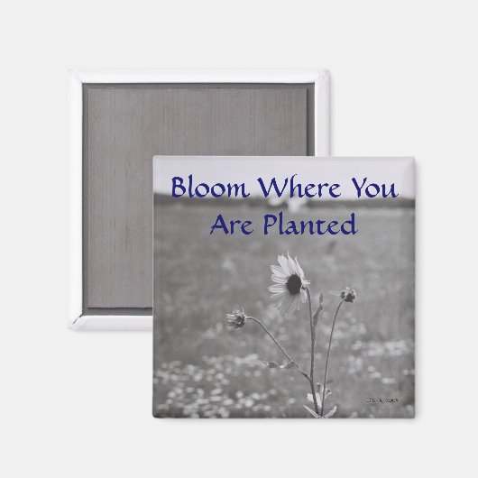 開花 マグネット (正面/裏面)