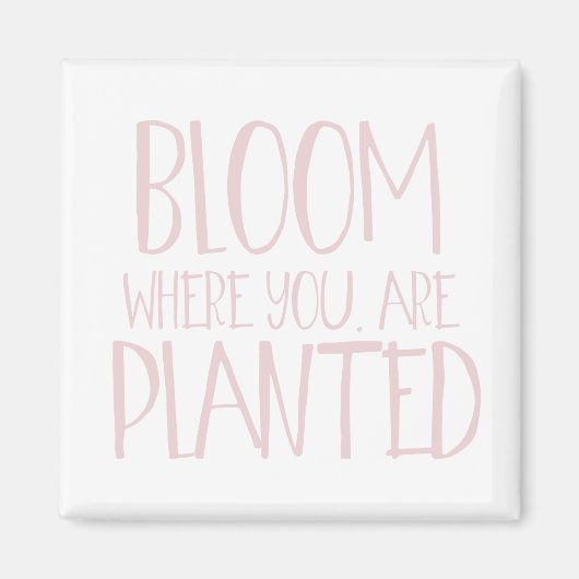 開花 マグネット (正面)