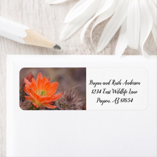 開花 ラベル (インサイチュ)