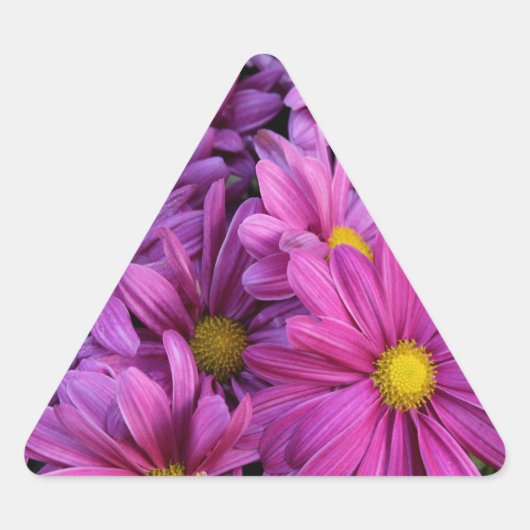 開花 三角形シール (正面)
