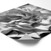 開花#4 ポスター (角)