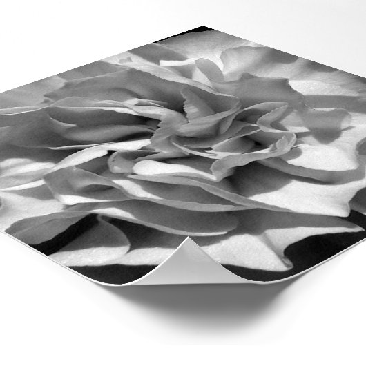 開花#4 ポスター (角)