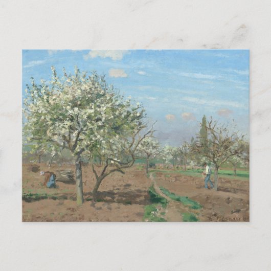 開花、Pissarro著Louveciennesフランスの果樹園 ポストカード (正面)