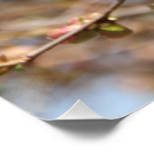 開花Apple Tree Canvas Print ポスター (コーナー)