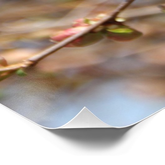 開花Apple Tree Canvas Print ポスター (コーナー)