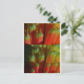 開花BUDS : Cactus Wild : Greetings,Goodluck ポストカード (スタンド正面)