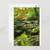 閑静なストリーム ポストカード (正面/裏面)