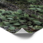 間に曇った空の下の山の近くの緑の木 ポスター (角)