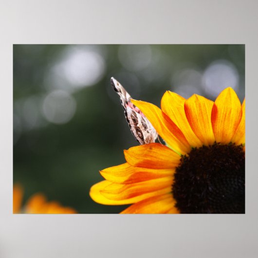 ～間の翼 ポスター (正面)