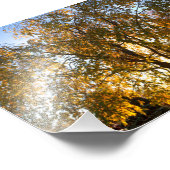 間引きさくらんぼツリー(秋、バックライト) フォトプリント            (角)