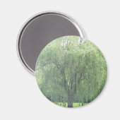 間引きWIllow マグネット (正面/裏面)