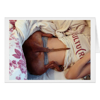 間抜けで眠いピットブル!