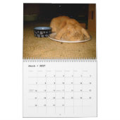 間抜けなウサギ カレンダー (3月 2027)