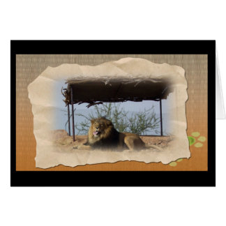 間抜けなライオン